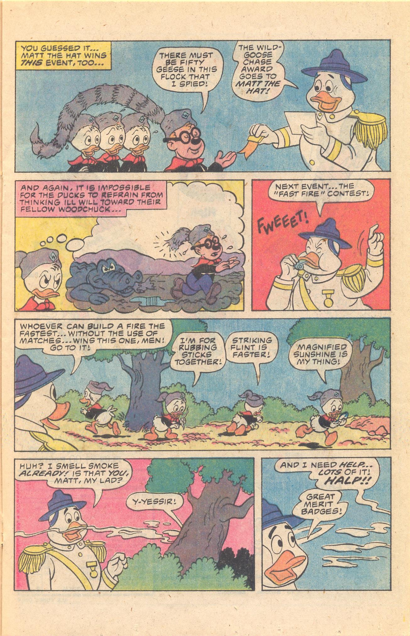 Read online Huey, Dewey, and Louie Junior Woodchucks comic -  Issue #65 - 17
