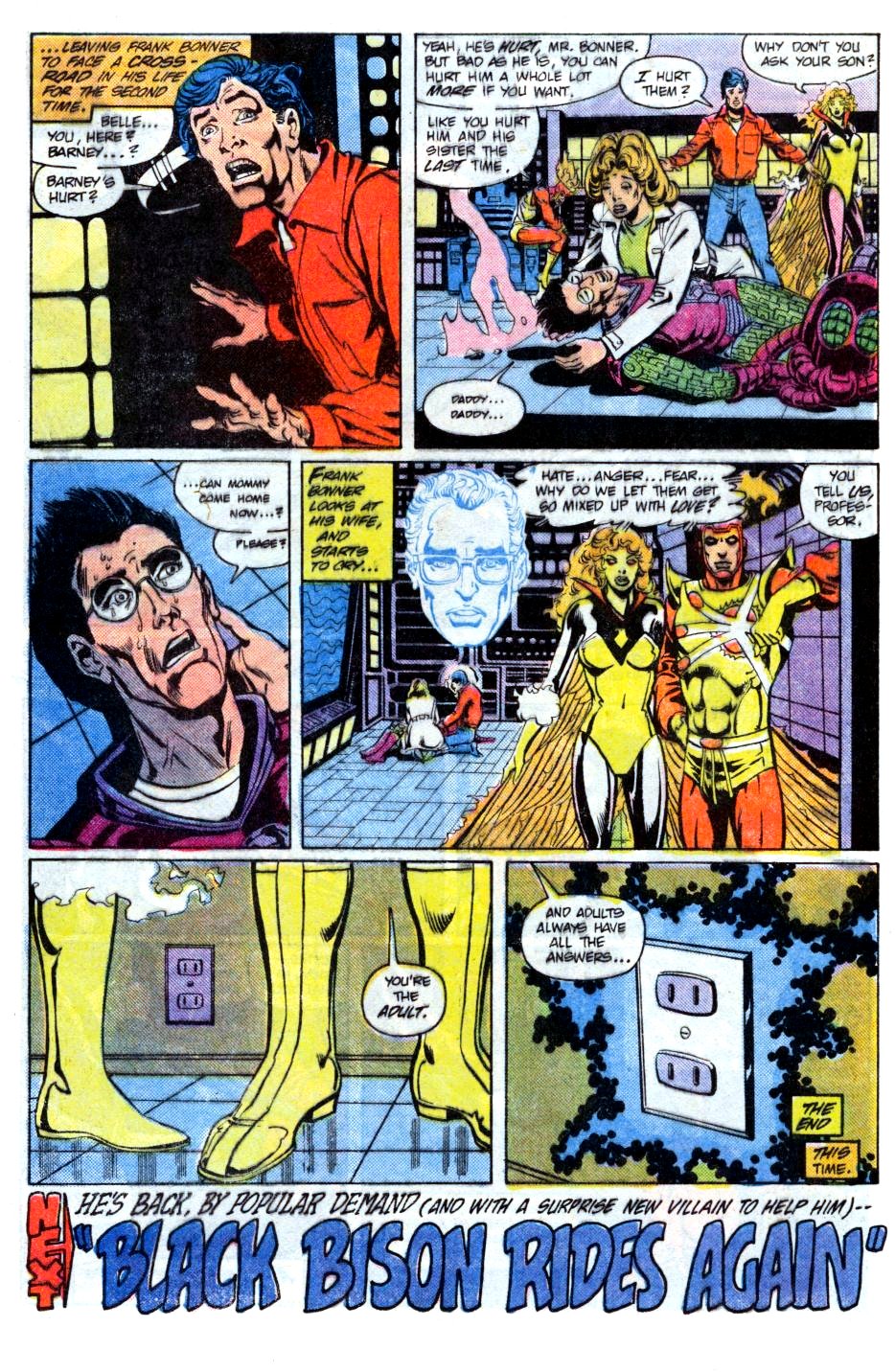 The Fury of Firestorm Issue #24 #28 - English 40