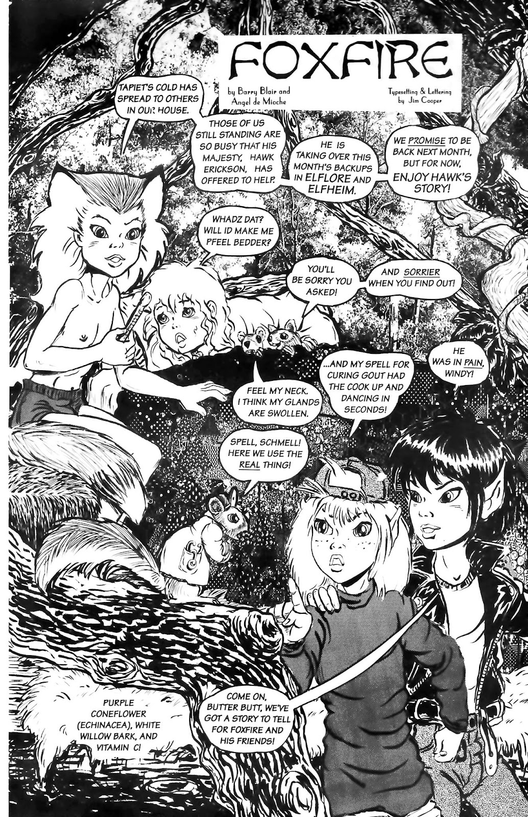 Elflore: High Seas issue 2 - Page 21