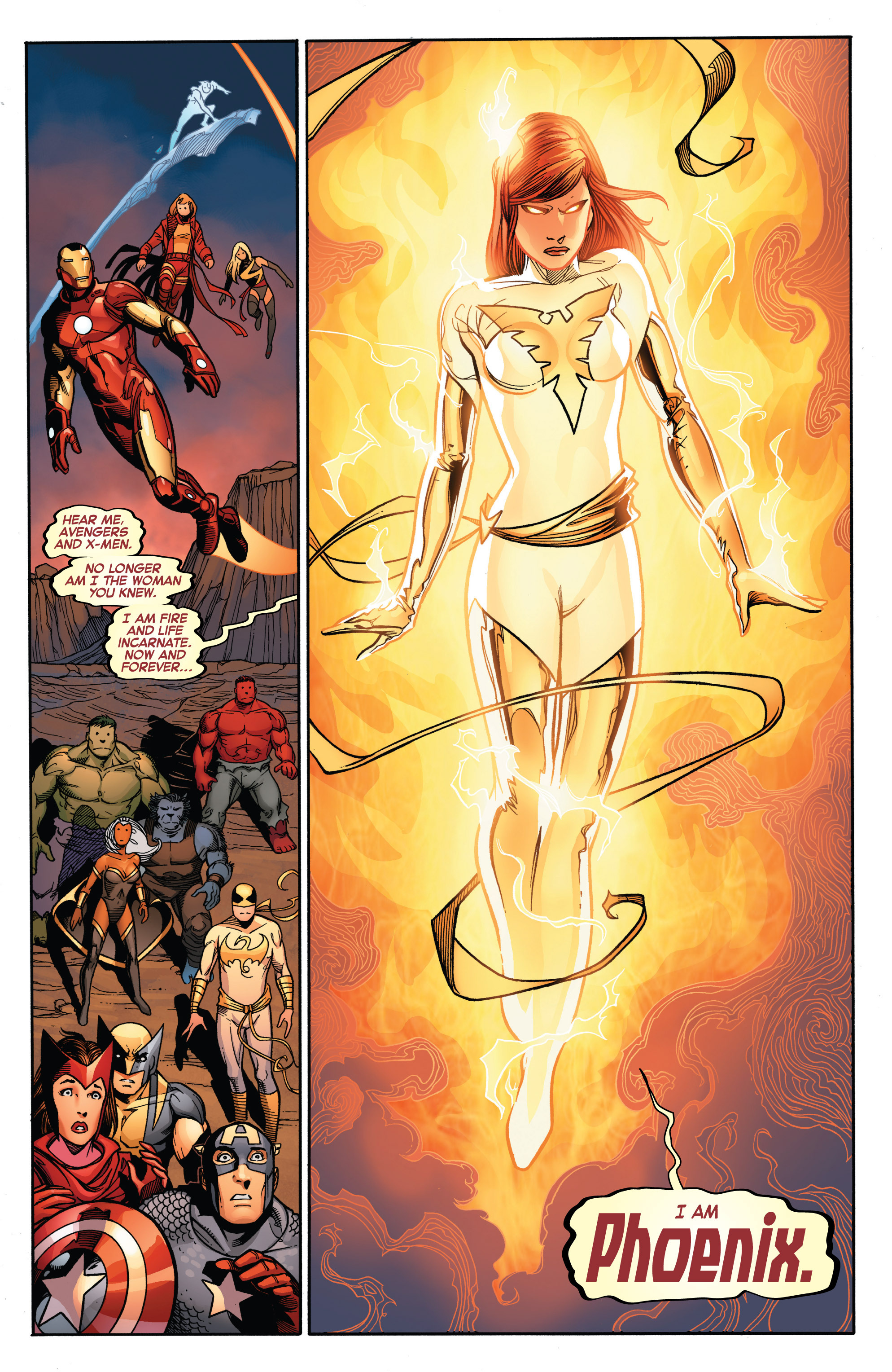 Read online Avengers Vs. X-Men comic -  Issue #12 - 25