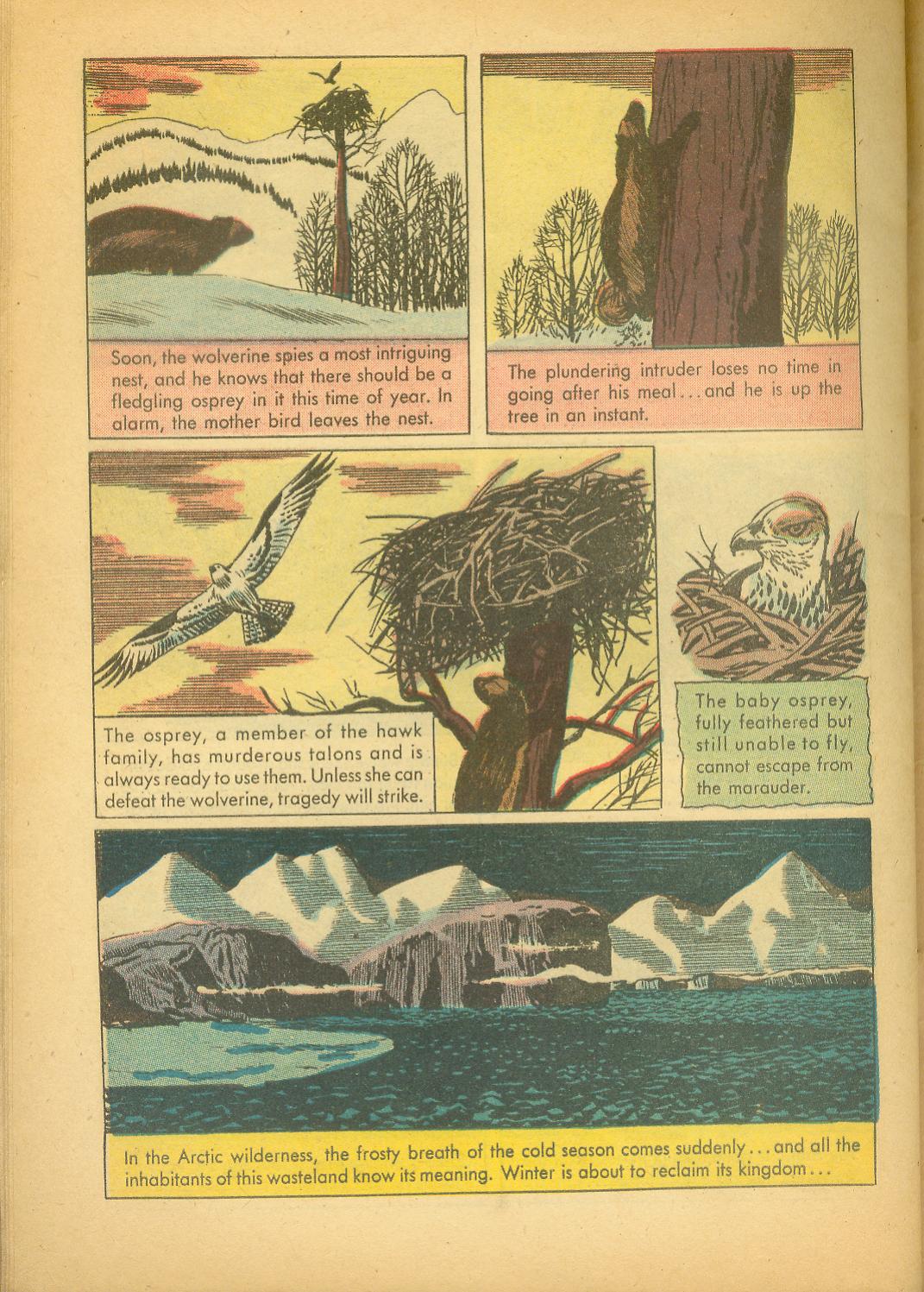 Read online Four Color Comics comic -  Issue #943 - 32