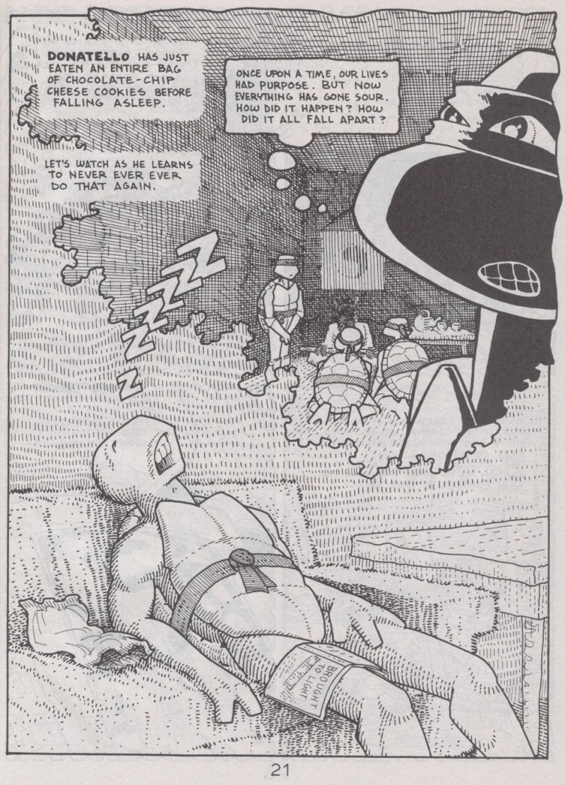Read online Teenage Mutant Ninja Turtles (1984) comic -  Issue #41 - 22