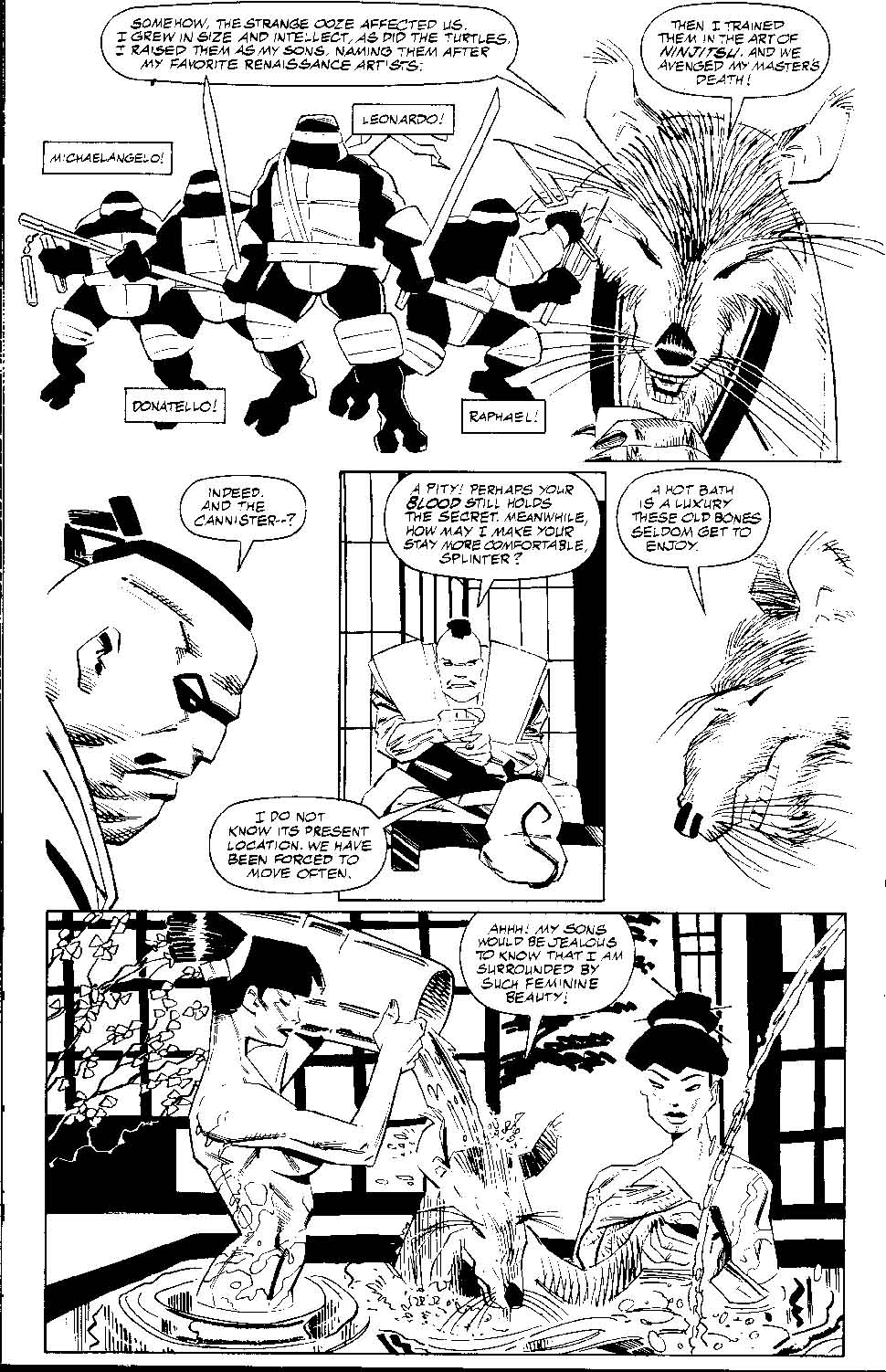 Teenage Mutant Ninja Turtles (1996) Issue #3 #3 - English 8