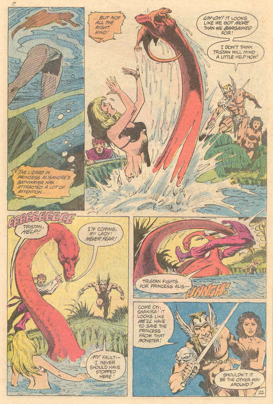 Read online Warlord (1976) comic -  Issue # _Annual 6 - 22