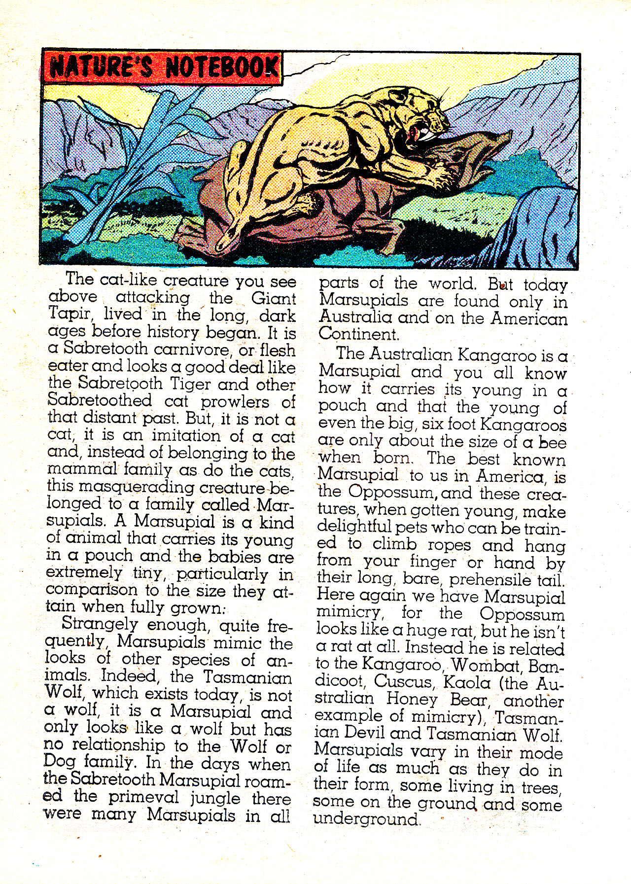 Read online Captain Hero Comics Digest Magazine comic -  Issue # TPB - 49