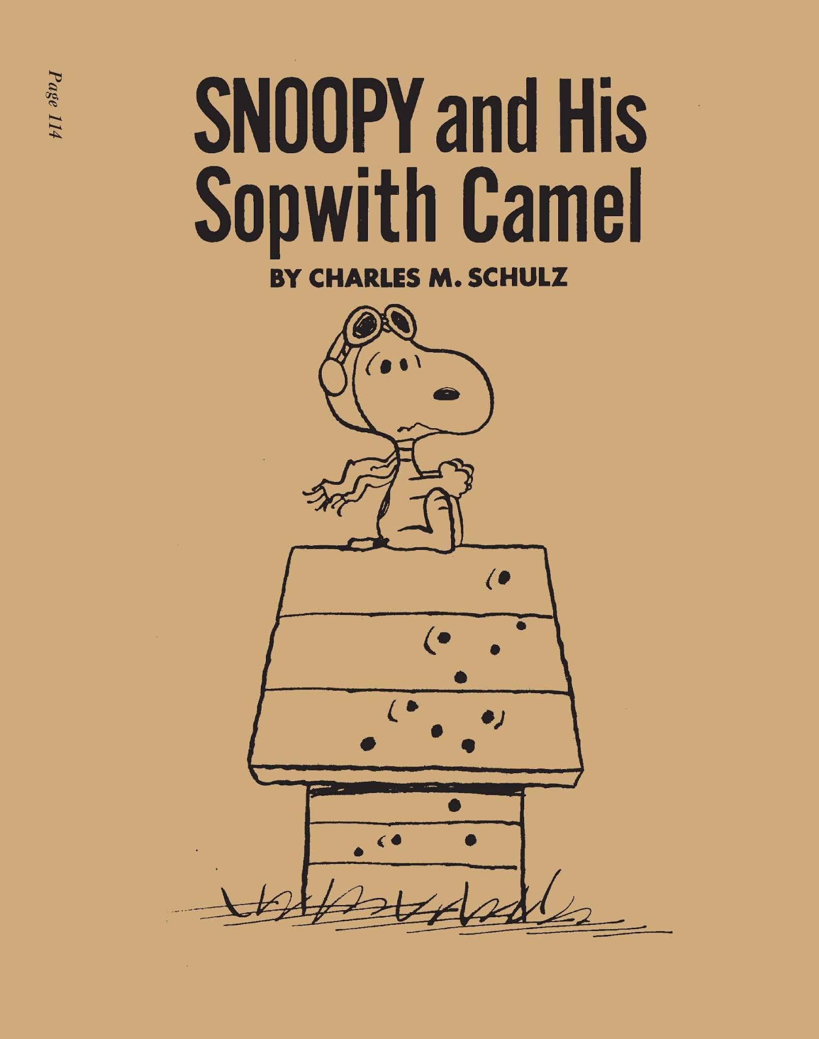 Read online The Complete Peanuts comic -  Issue # TPB 26 (Part 2) - 20