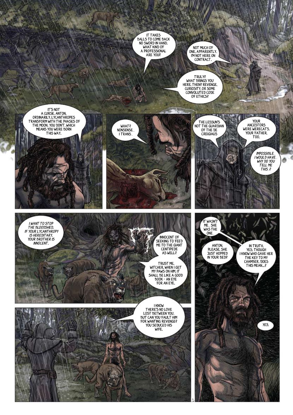 The Witcher: Reasons of State issue Full - Page 33