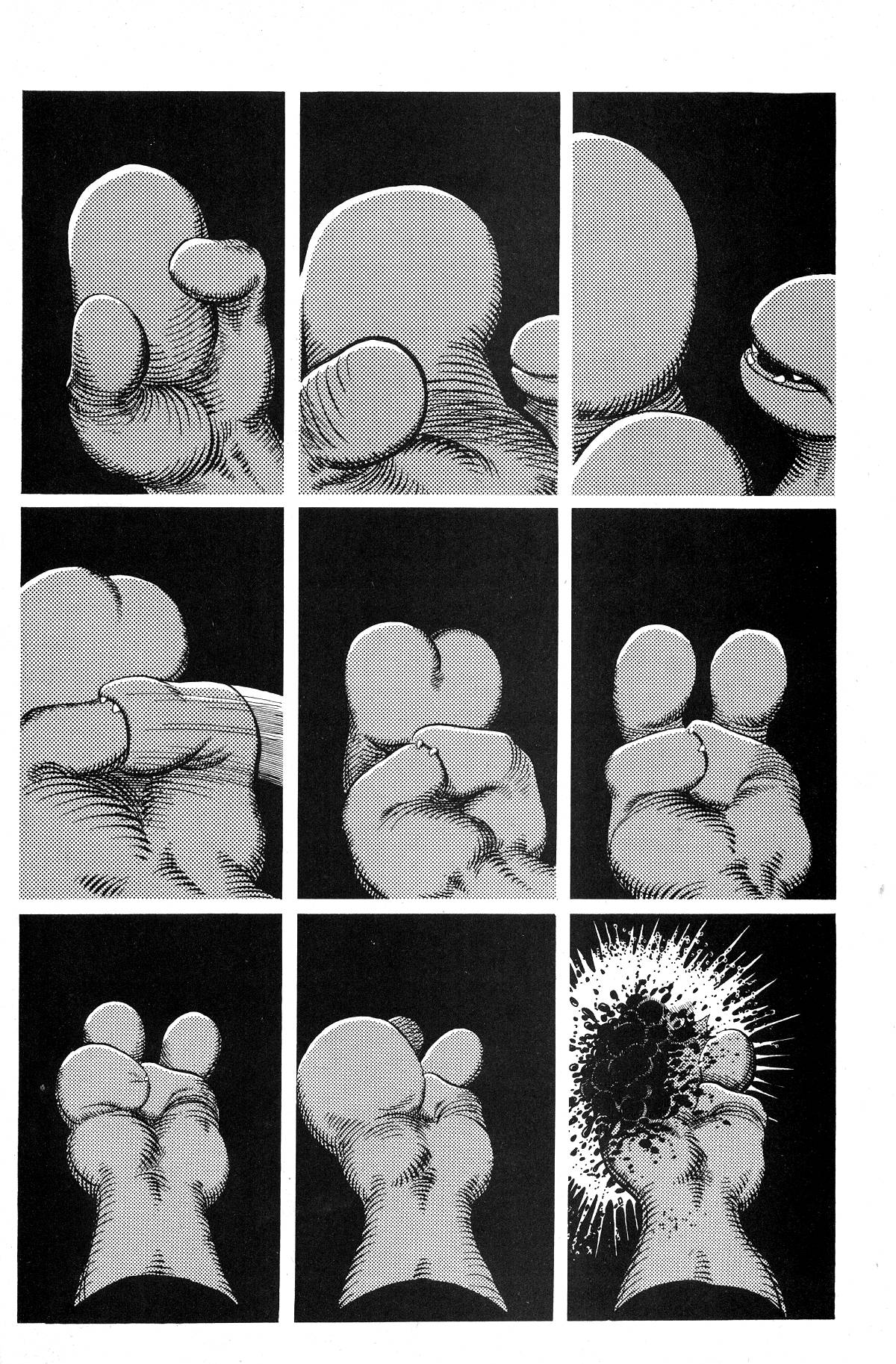 Read online Cerebus comic -  Issue #203 - 19