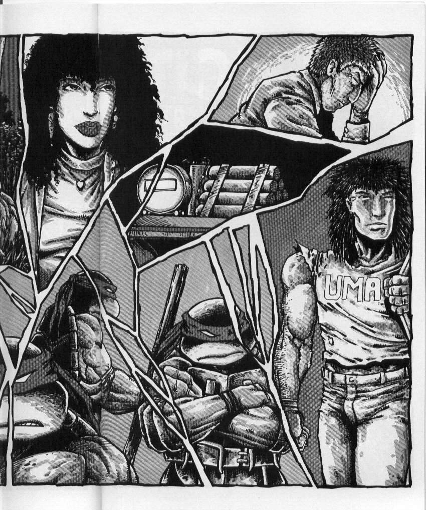 Teenage Mutant Ninja Turtles (1984) Issue #50 #50 - English 18