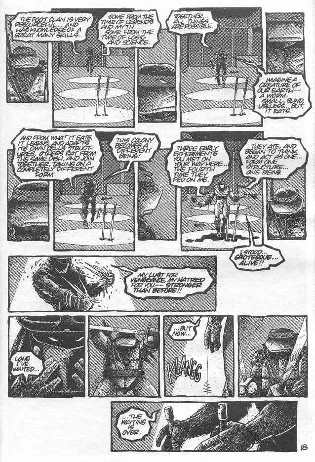 Teenage Mutant Ninja Turtles (1984) Issue #21 #21 - English 20