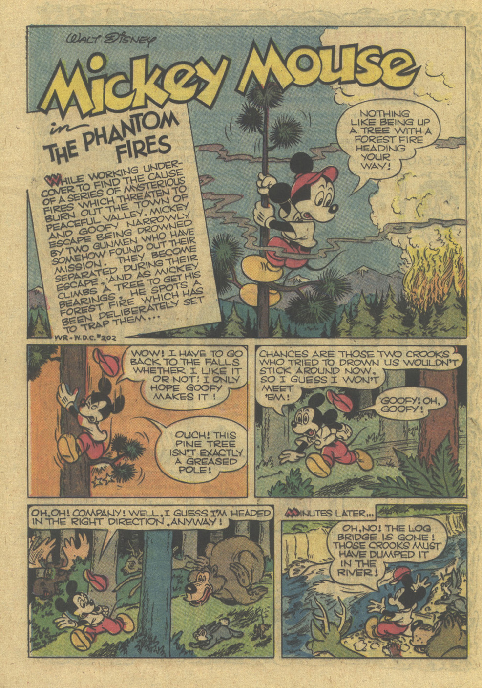 Read online Walt Disney's Mickey Mouse comic -  Issue #147 - 24