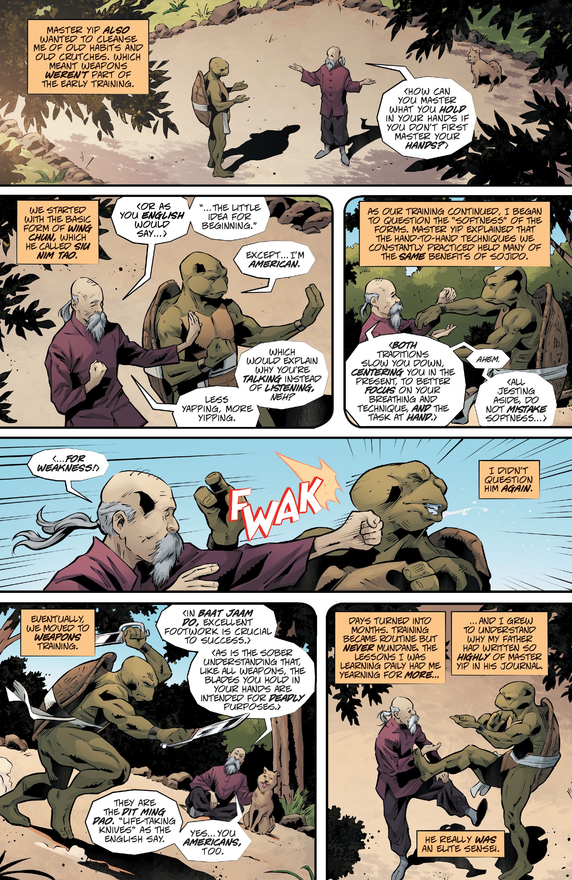 Read online Teenage Mutant Ninja Turtles: The Last Ronin - The Lost Years comic -  Issue #2 - 22