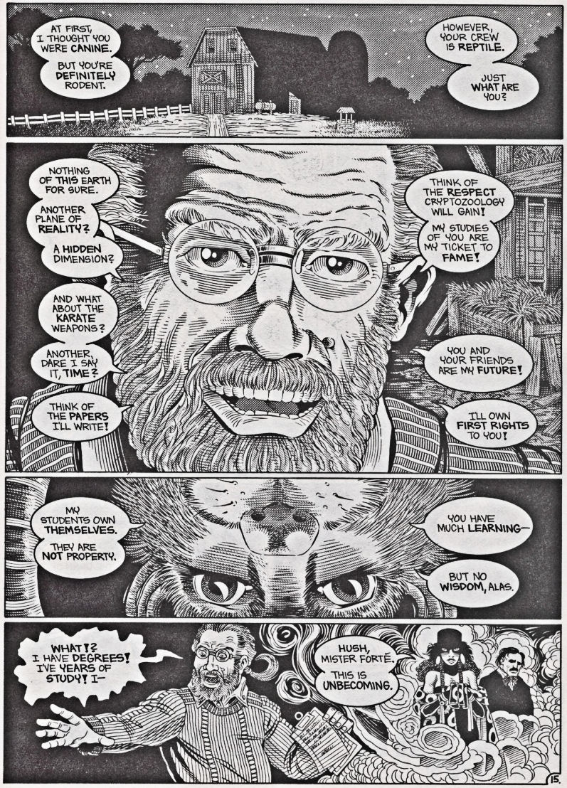 Read online Teenage Mutant Ninja Turtles (1984) comic -  Issue #42 - 16