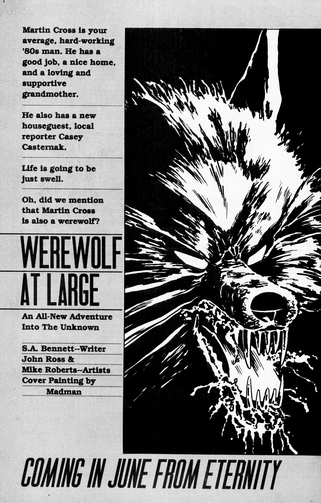 Read online Edgar Allan Poe: The Murders in the Rue Morgue and Other Stories comic -  Issue # Full - 32