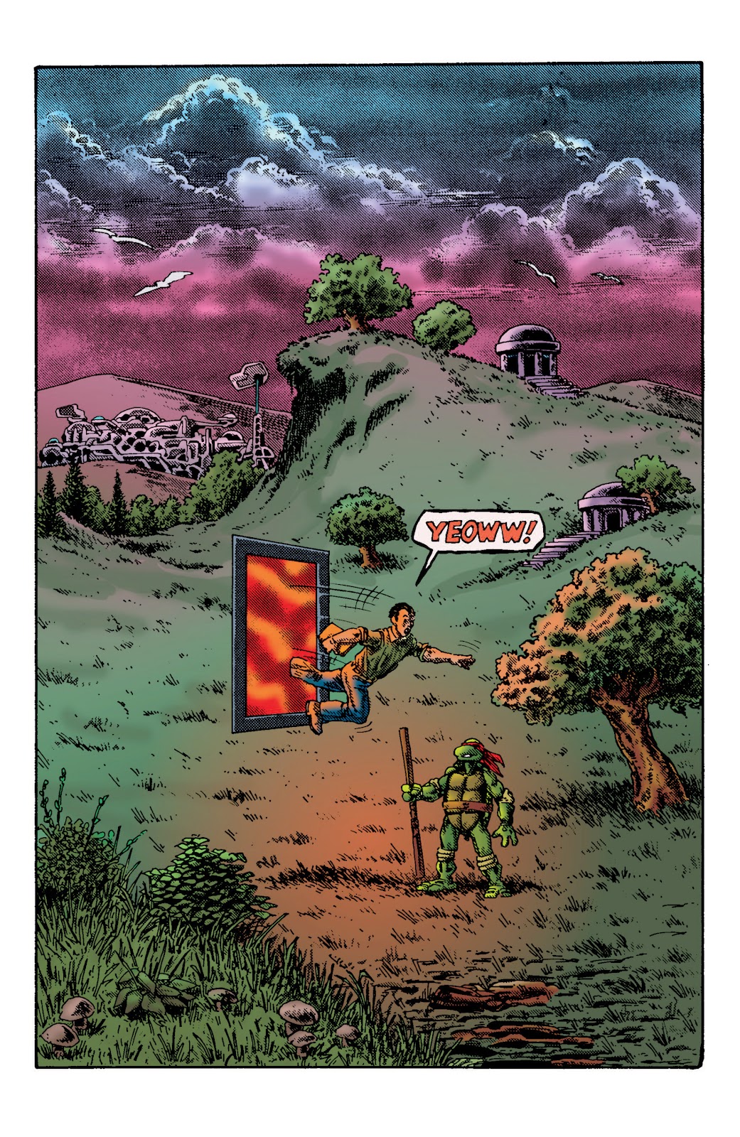 Teenage Mutant Ninja Turtles Color Classics: Donatello Micro-Series issue Full - Page 14