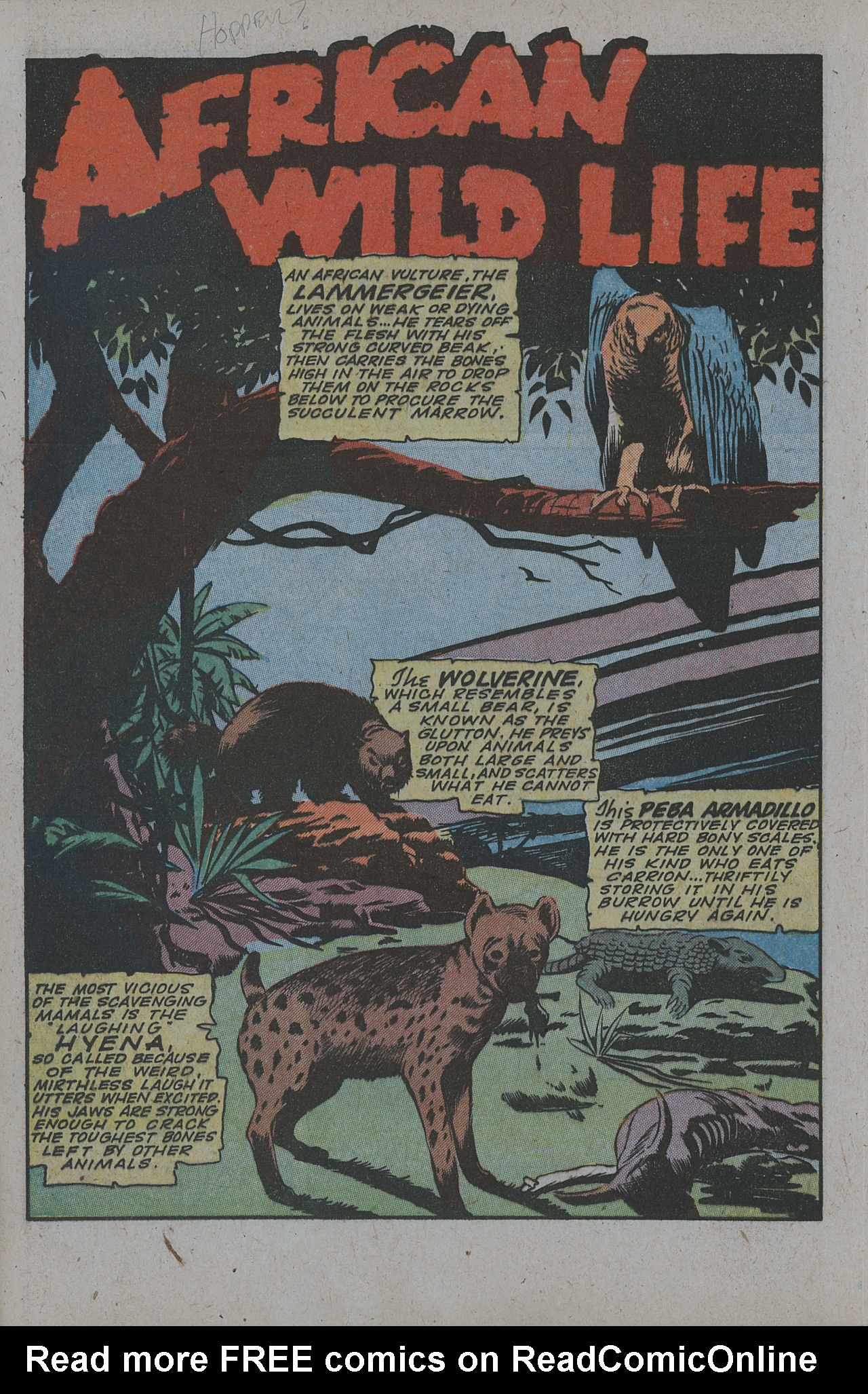 Read online Jungle Comics comic -  Issue #64 - 28