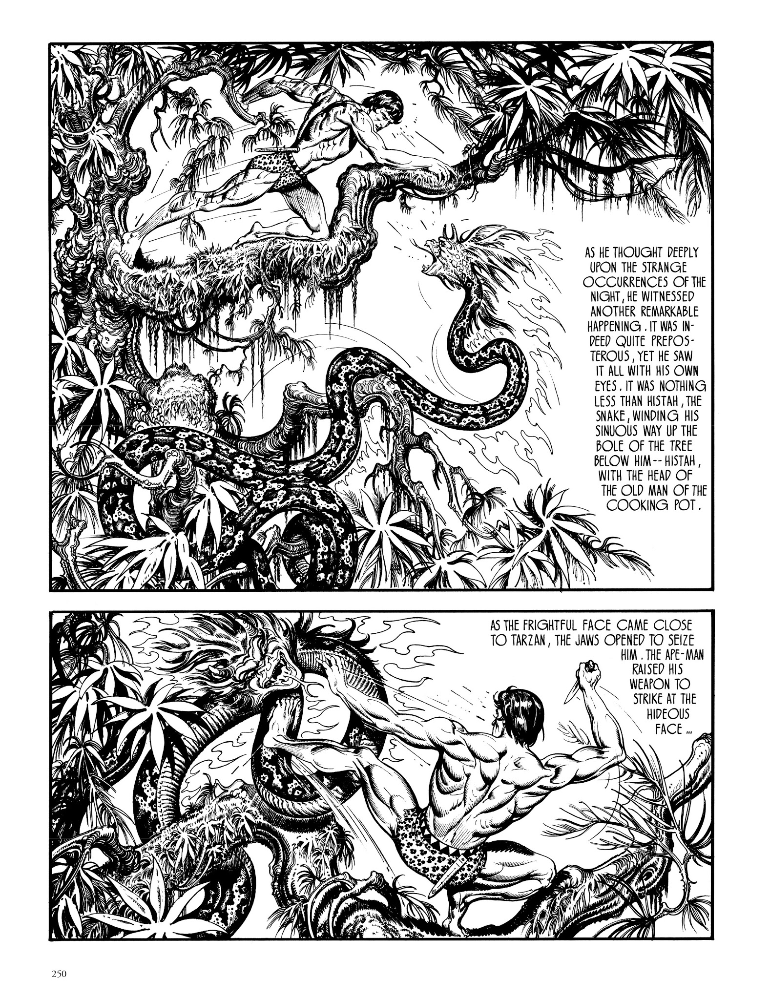 Read online Edgar Rice Burroughs' Tarzan: Burne Hogarth's Lord of the Jungle comic -  Issue # TPB - 249