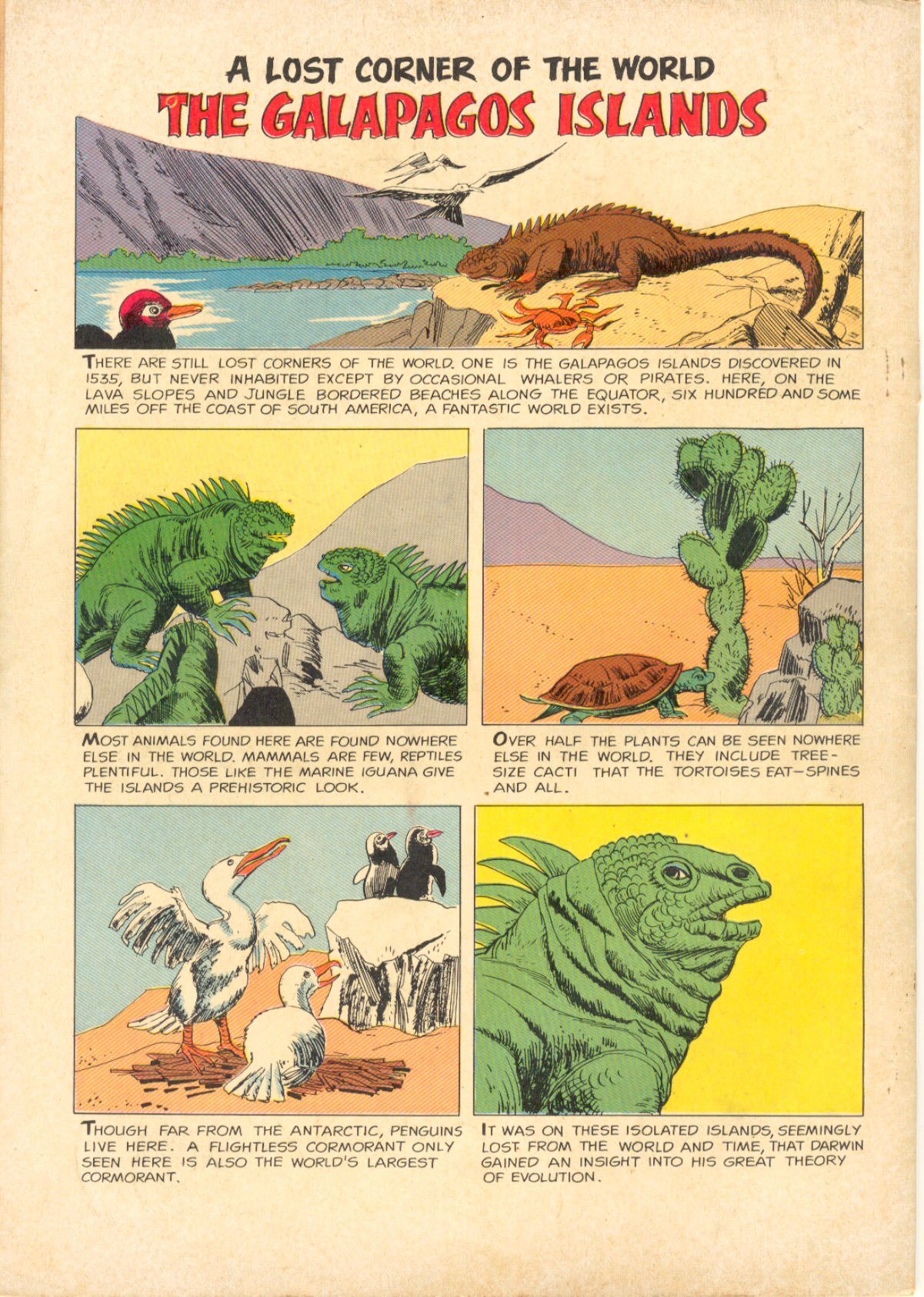 Read online Four Color Comics comic -  Issue #1145 - 36