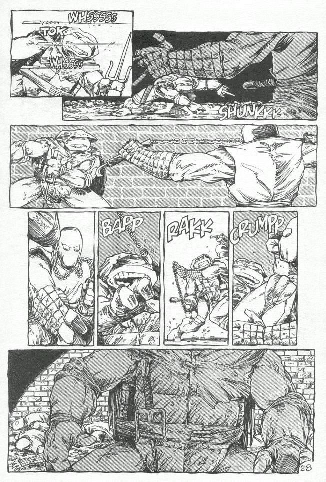 Teenage Mutant Ninja Turtles (1984) Issue #19 #19 - English 29