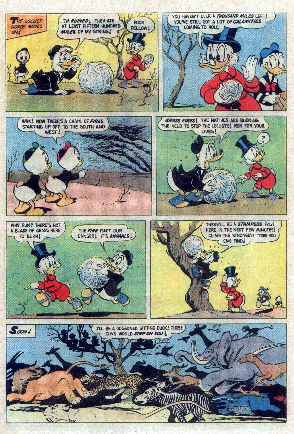 Read online Uncle Scrooge (1953) comic -  Issue #160 - 24