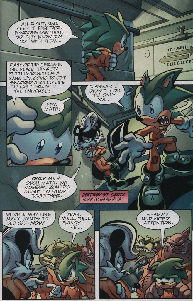 Read online Sonic Universe comic -  Issue #29 - 21