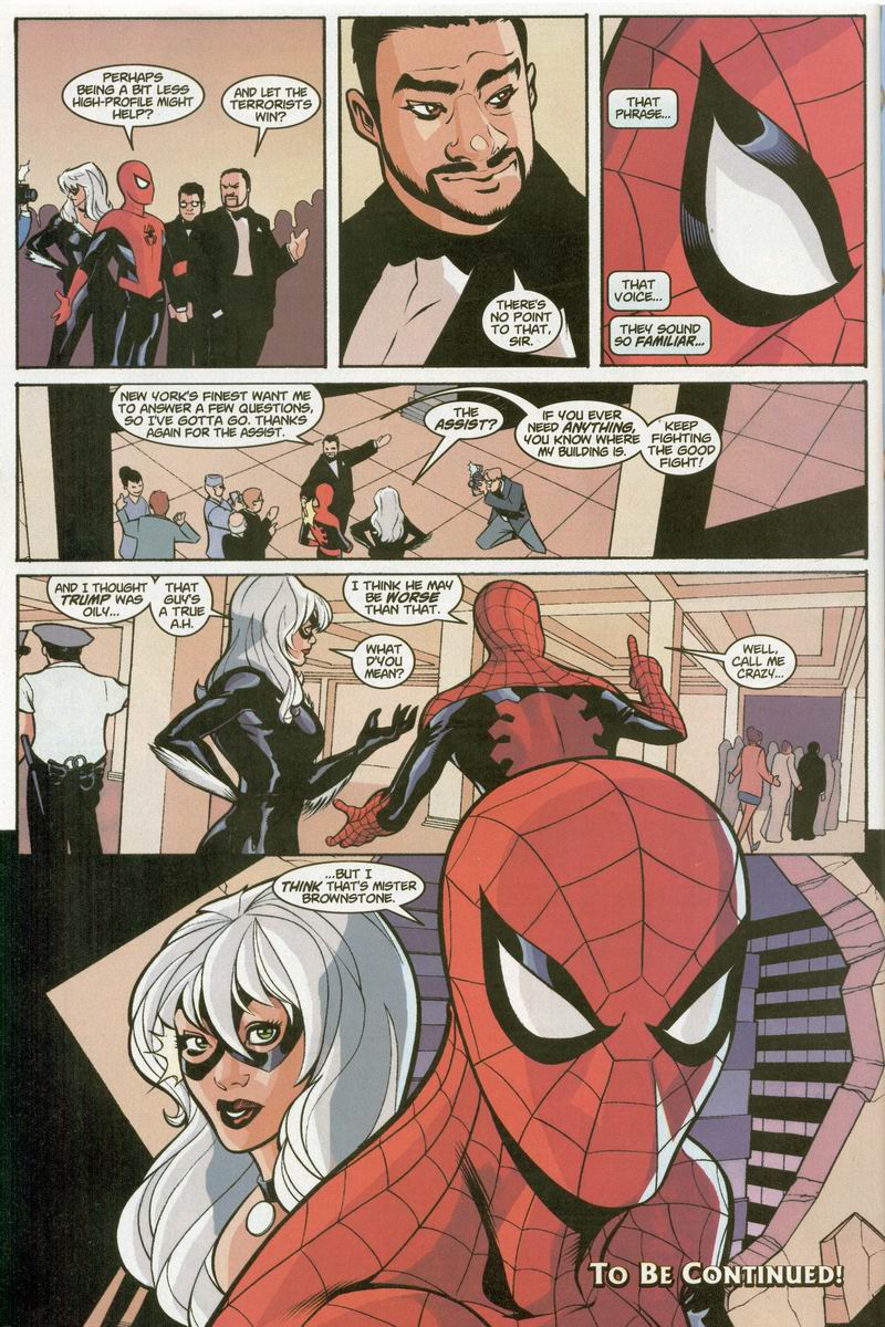 Spider-Man/Black Cat: The Evil That Men Do Issue #2 #2 - English 26