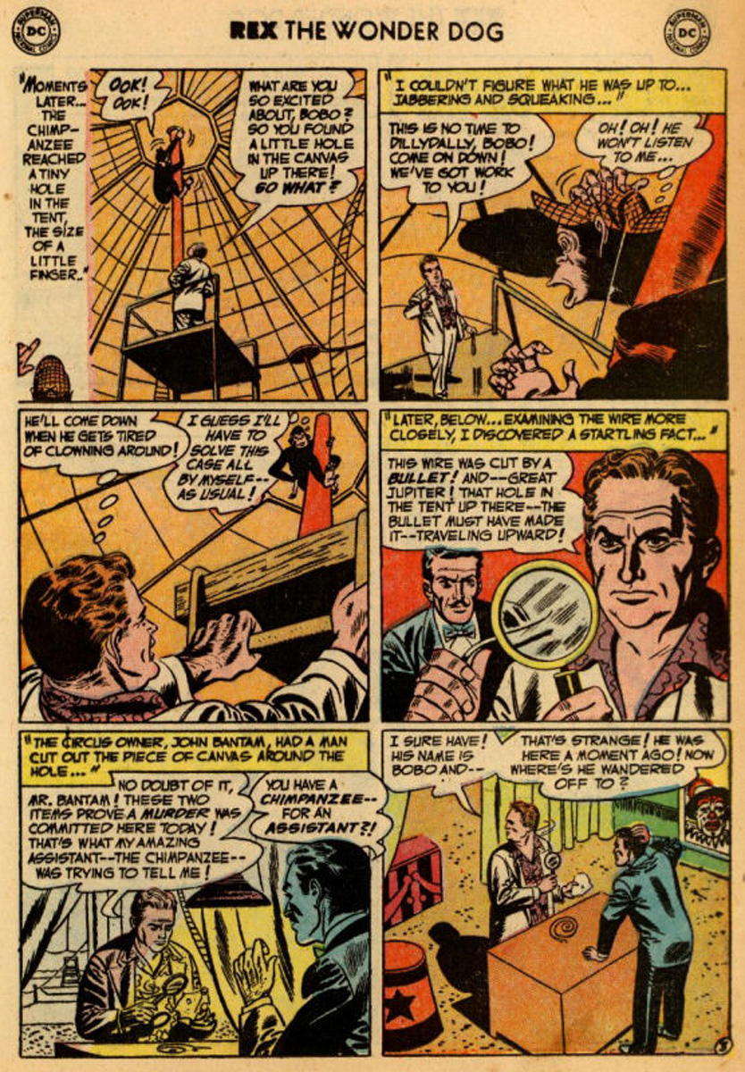 Read online The Adventures of Rex the Wonder Dog comic -  Issue #8 - 17