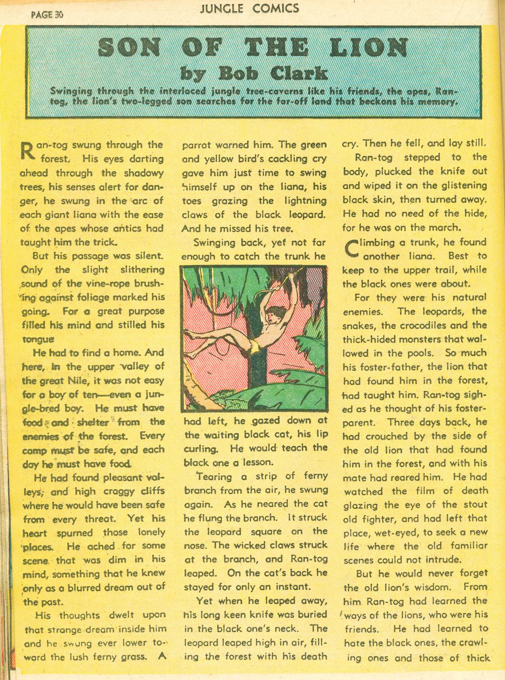 Read online Jungle Comics comic -  Issue #4 - 33