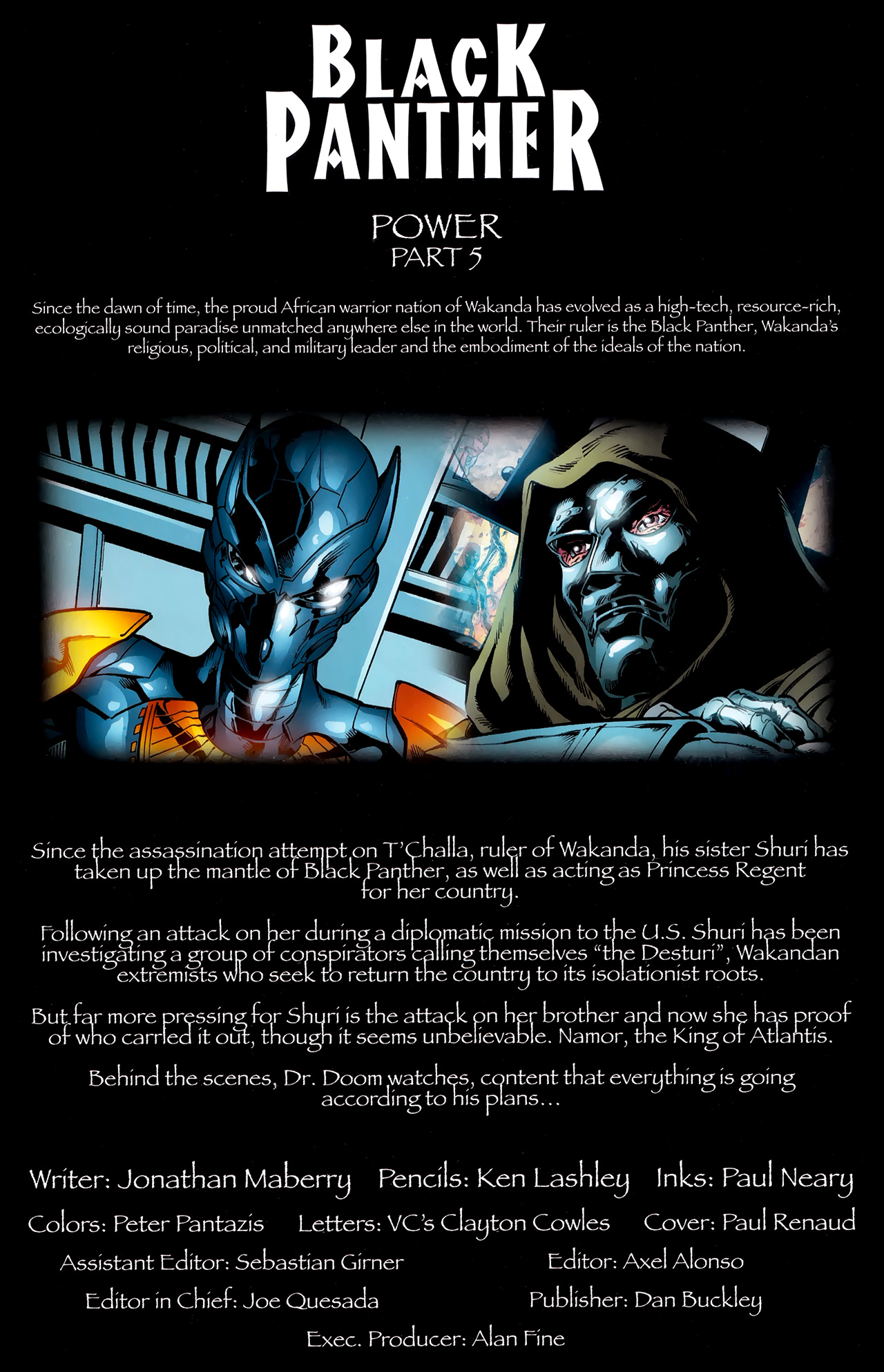 Read online Black Panther (2009) comic -  Issue #11 - 2