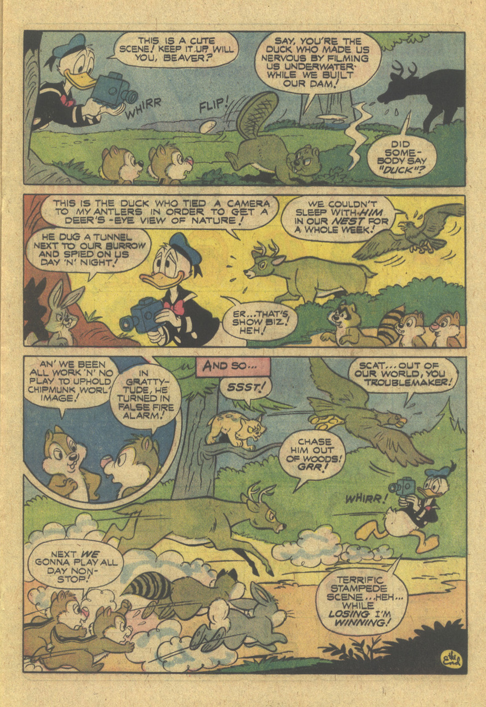 Read online Walt Disney Chip 'n' Dale comic -  Issue #41 - 17