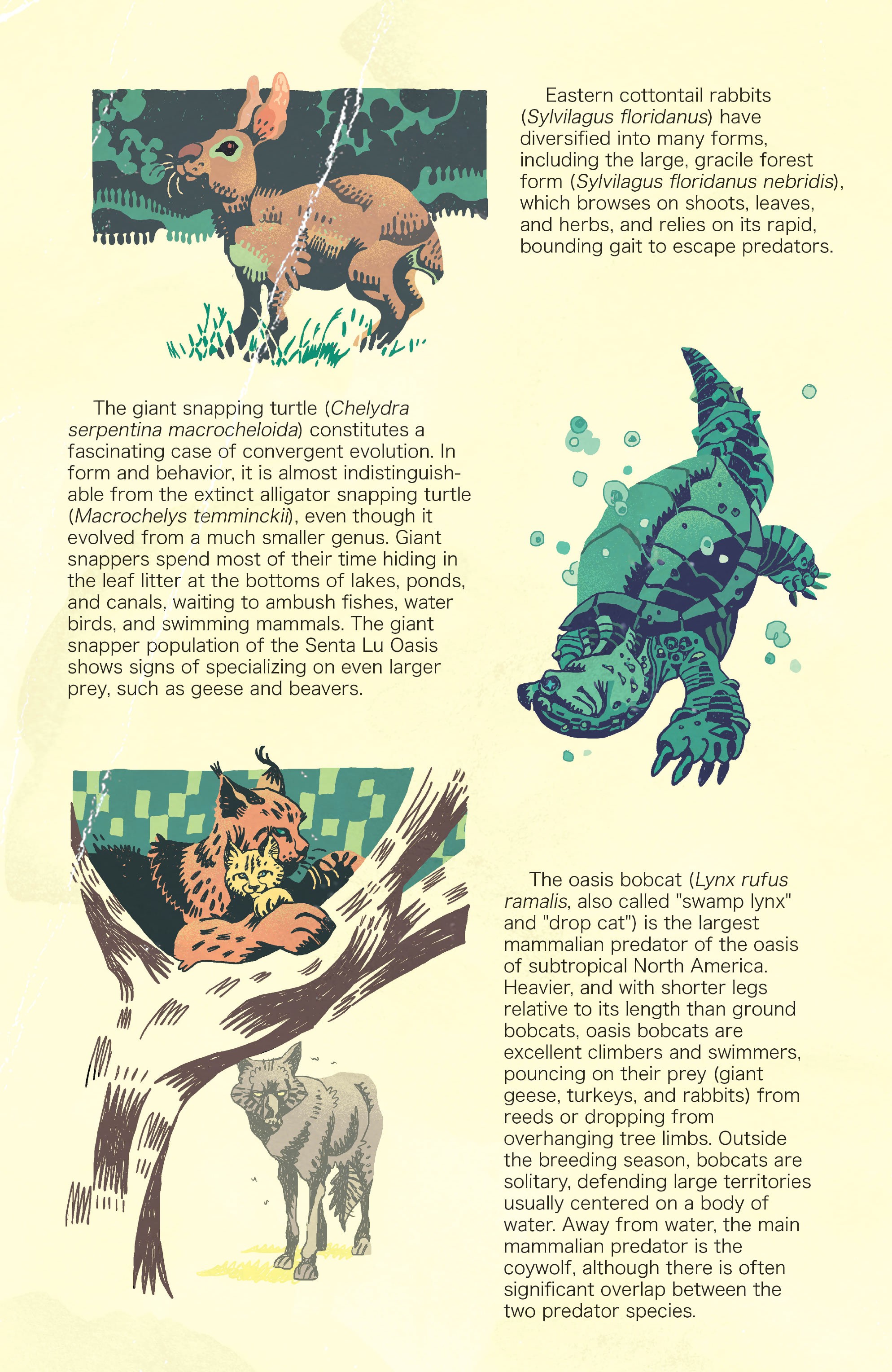 Read online Protector comic -  Issue #4 - 27