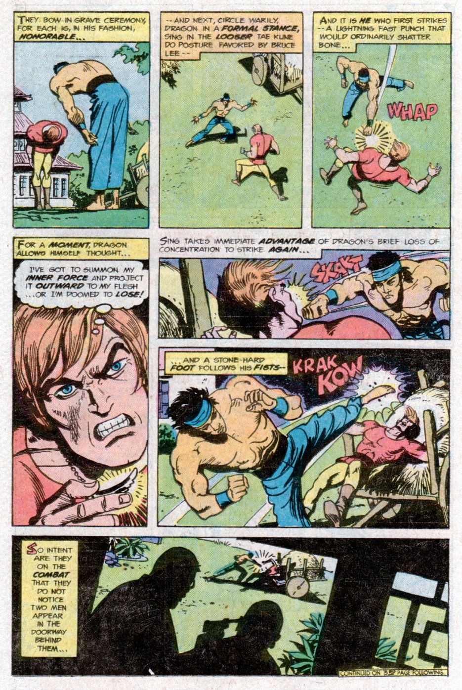 Read online Richard Dragon, Kung-Fu Fighter comic -  Issue #14 - 13