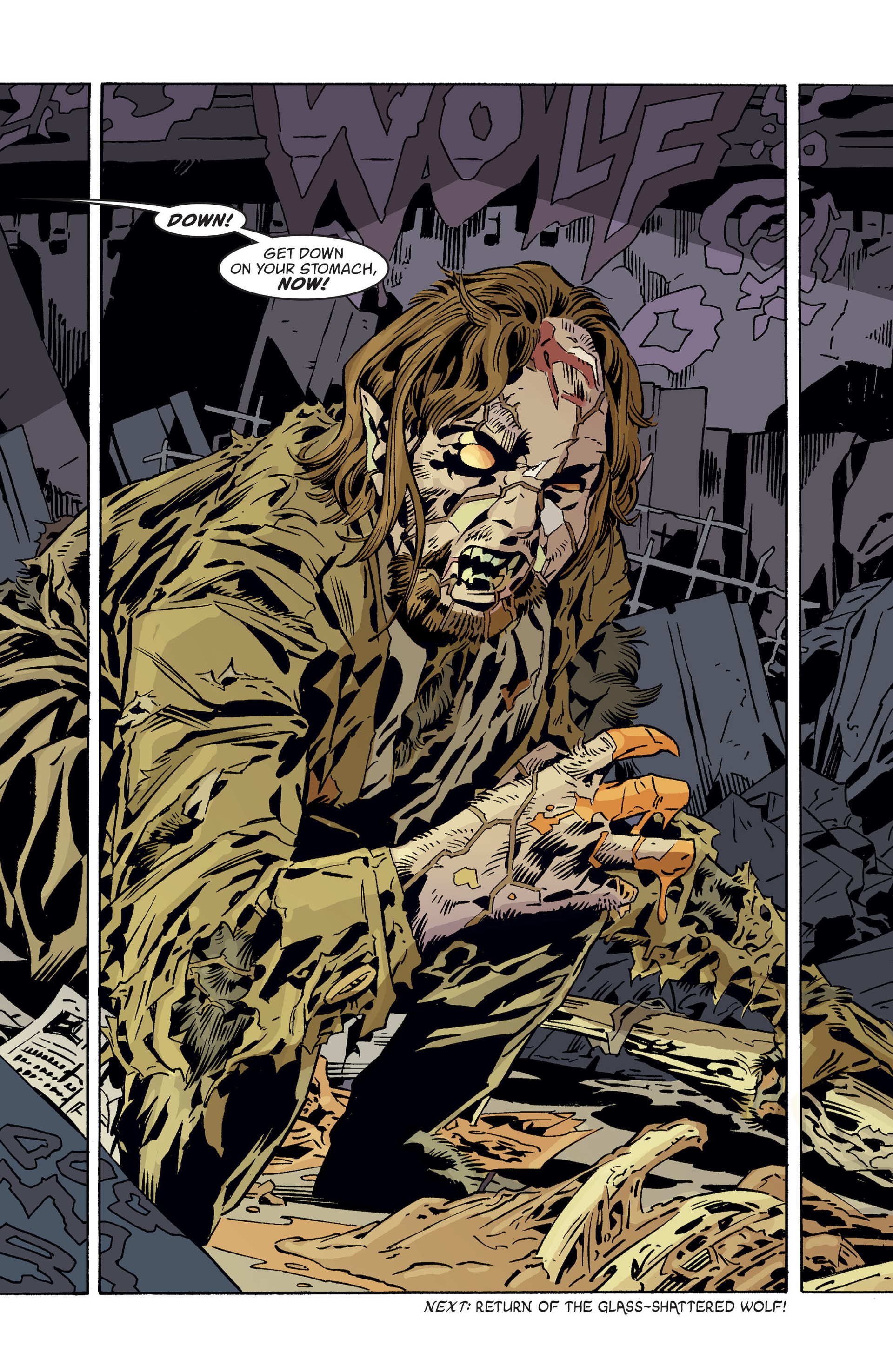 Read online Fables comic -  Issue #141 - 20