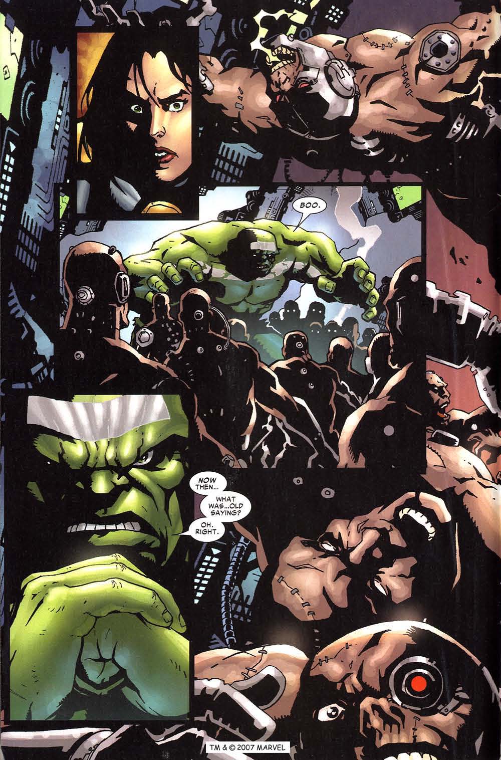 The Incredible Hulk (2000) Issue #86 #75 - English 16