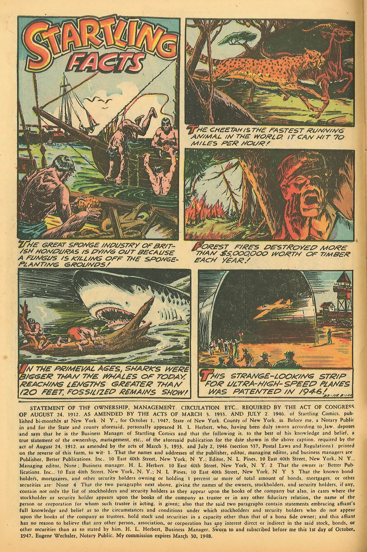 Read online Startling Comics comic -  Issue #50 - 12