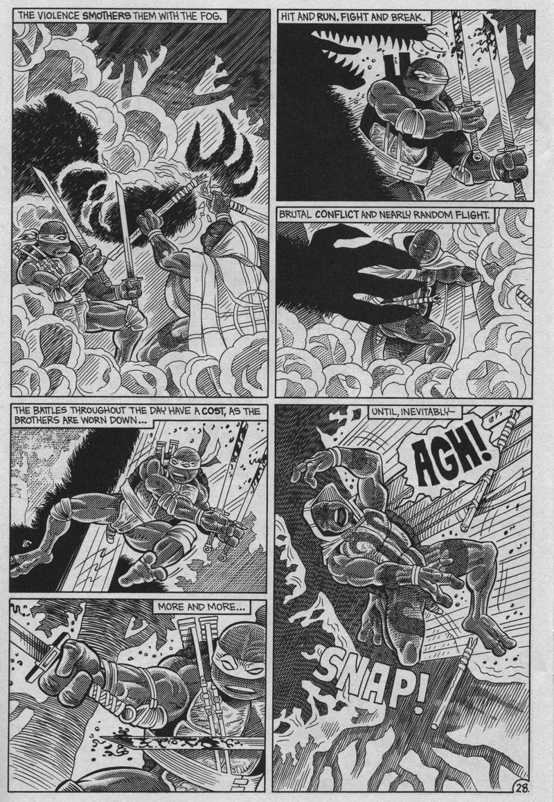 Teenage Mutant Ninja Turtles (1984) Issue #37 #37 - English 28