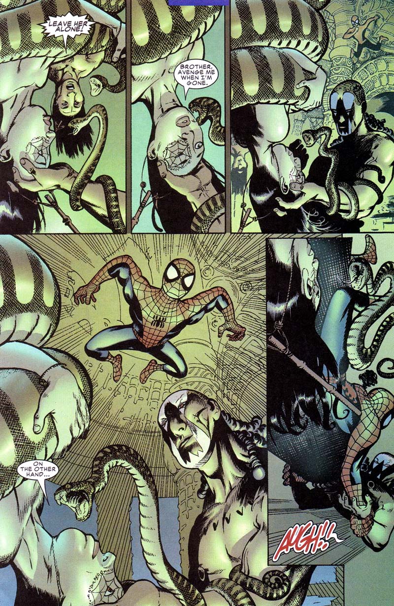 Read online Peter Parker: Spider-Man comic -  Issue # _Annual 2001 - 30