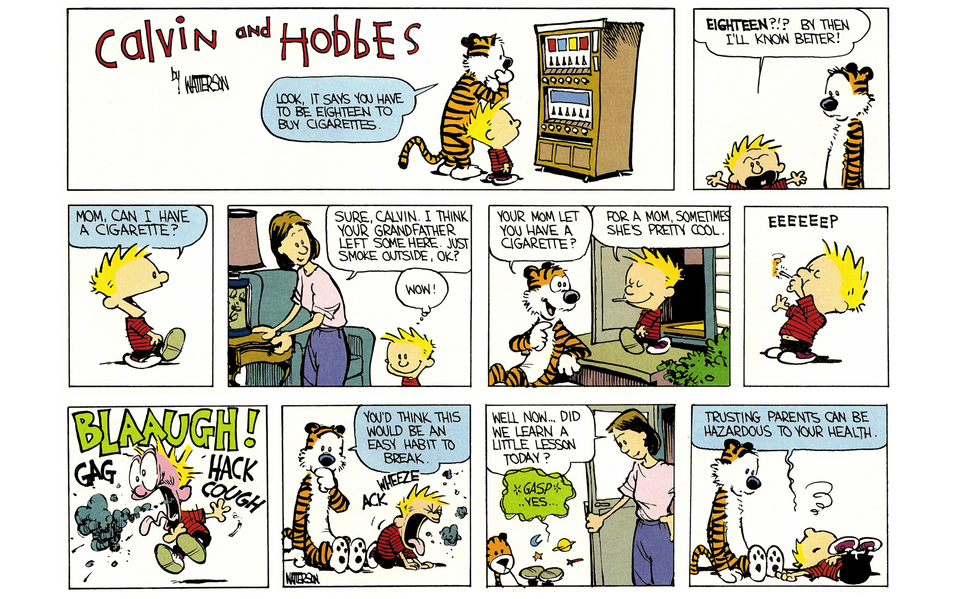 Read online Calvin and Hobbes comic - Issue #1 - 113.