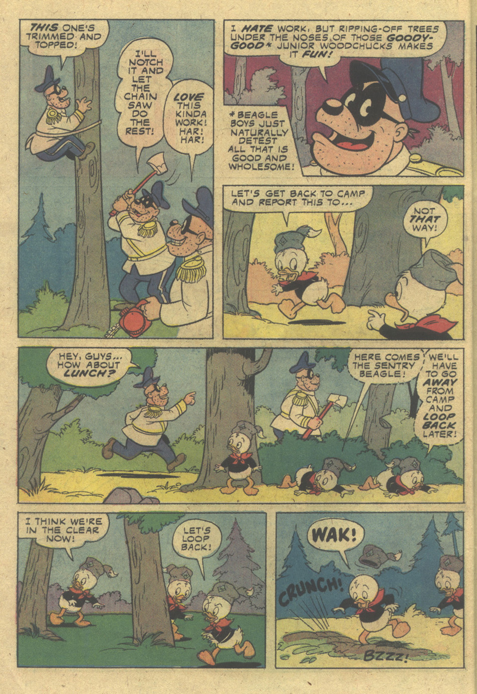 Read online Huey, Dewey, and Louie Junior Woodchucks comic -  Issue #32 - 6