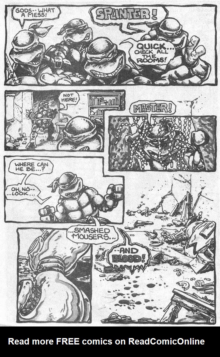 Teenage Mutant Ninja Turtles (1984) Issue #3 #3 - English 7