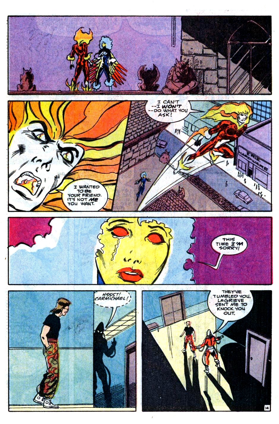 Firestorm, the Nuclear Man issue 99 - Page 15