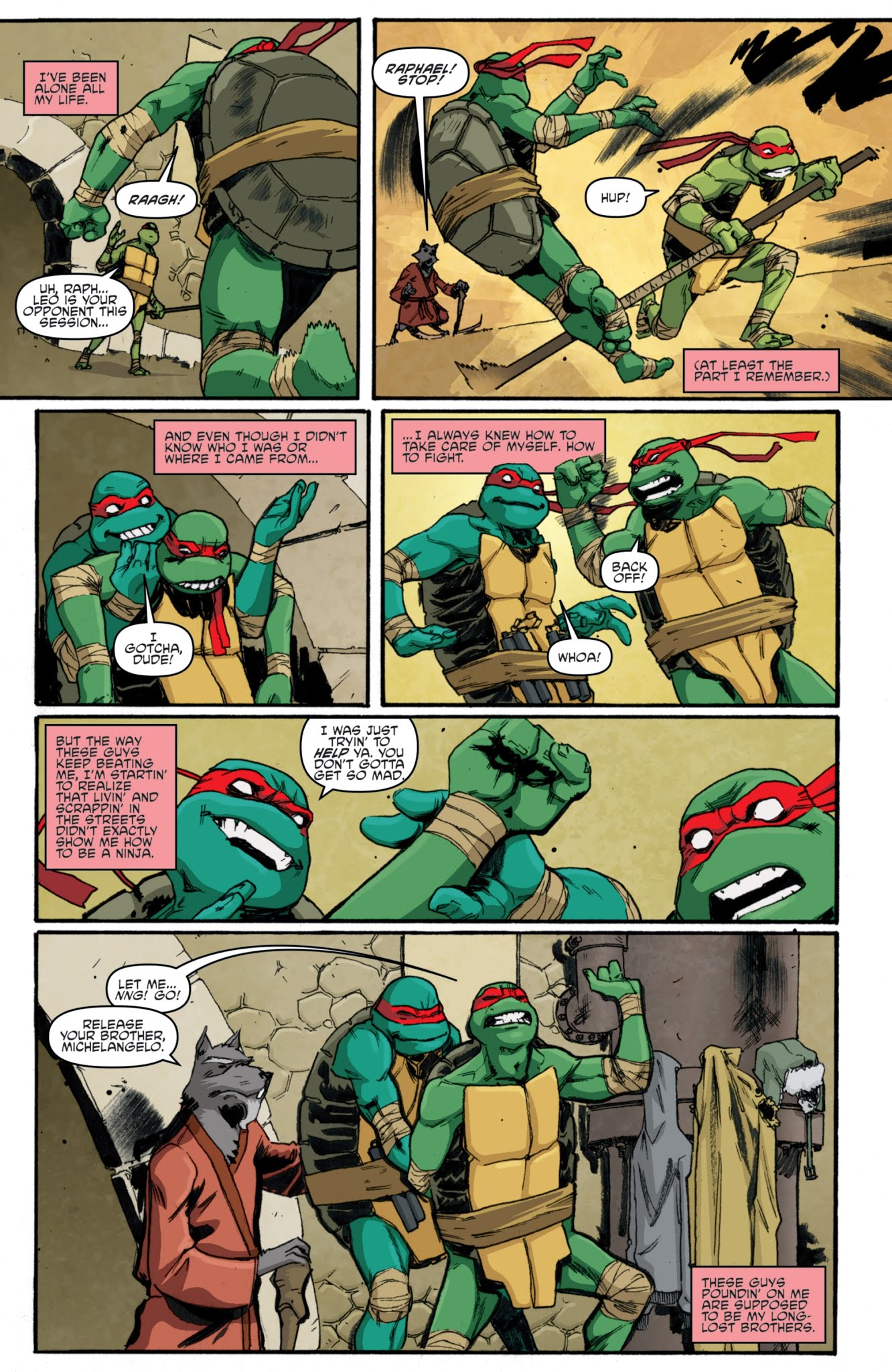 Read online Teenage Mutant Ninja Turtles: The IDW Collection comic -  Issue # TPB 1 (Part 2) - 5