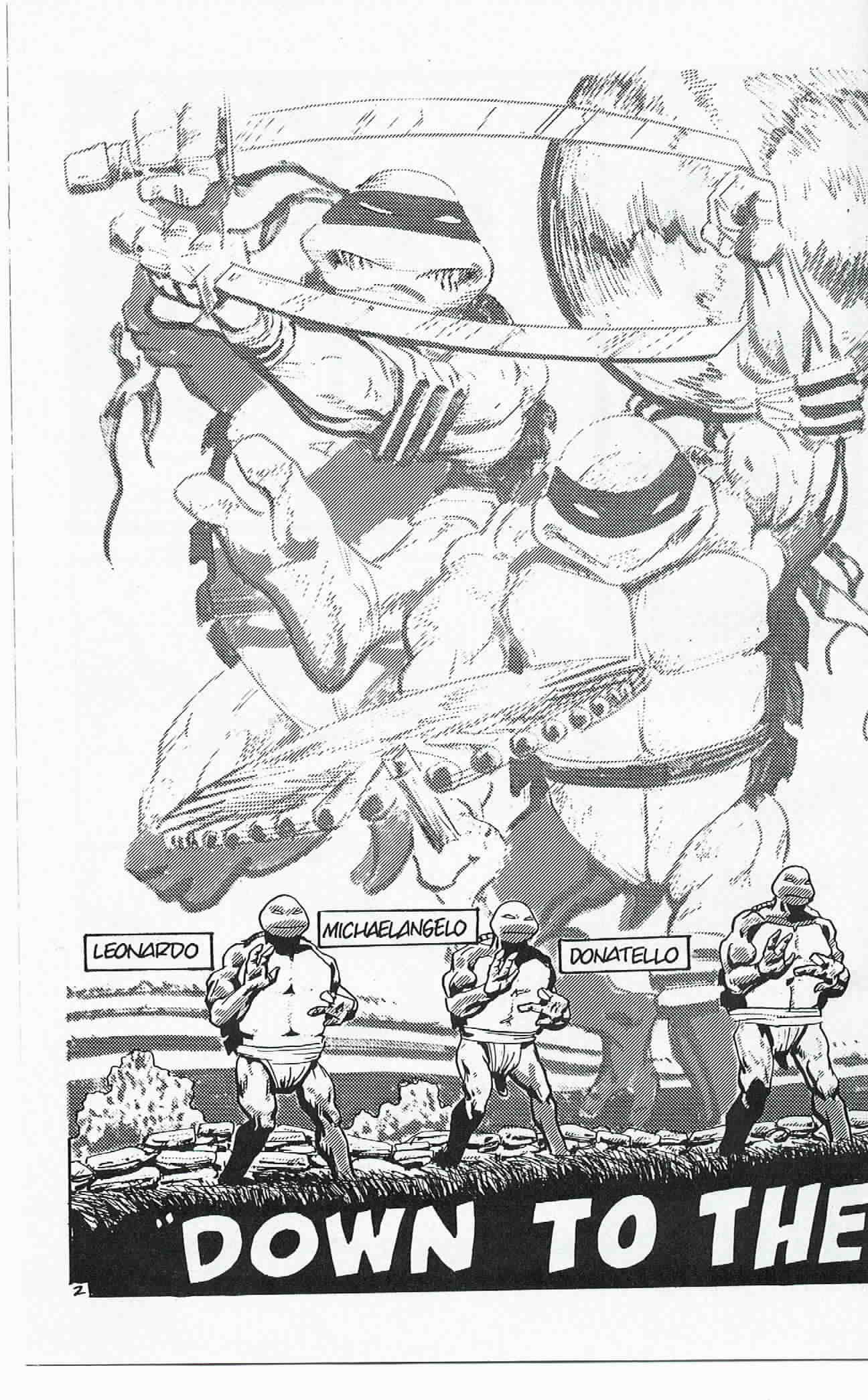 Read online Teenage Mutant Ninja Turtles (1984) comic -  Issue #24 - 3