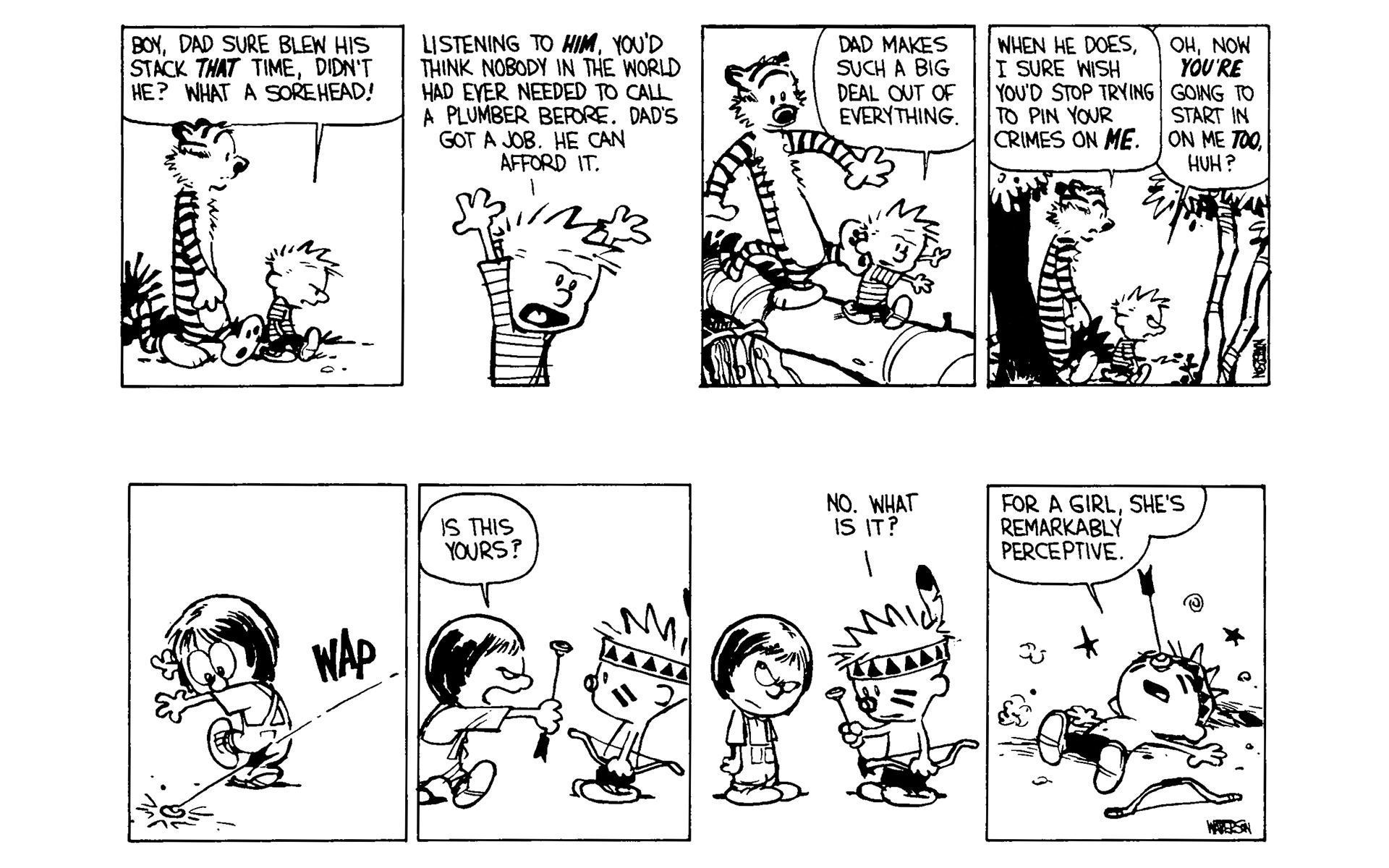 Read online Calvin and Hobbes comic -  Issue #4 - 105