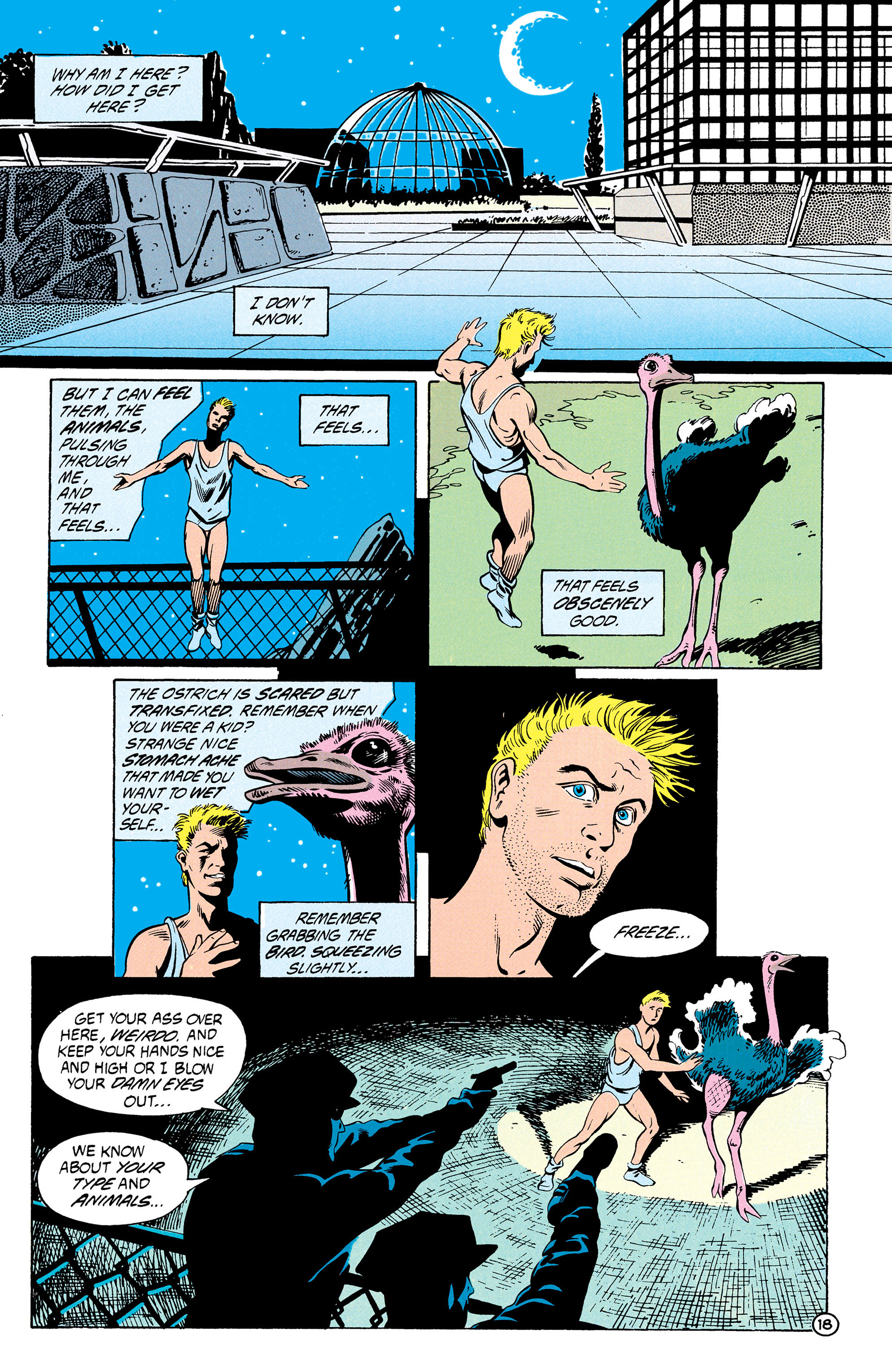 Read online Animal Man (1988) comic -  Issue #27 - 18