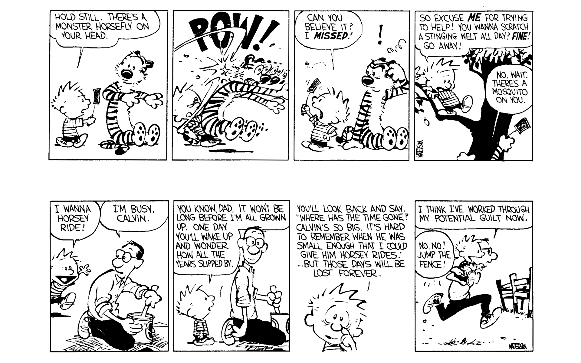Read online Calvin and Hobbes comic -  Issue #3 - 24