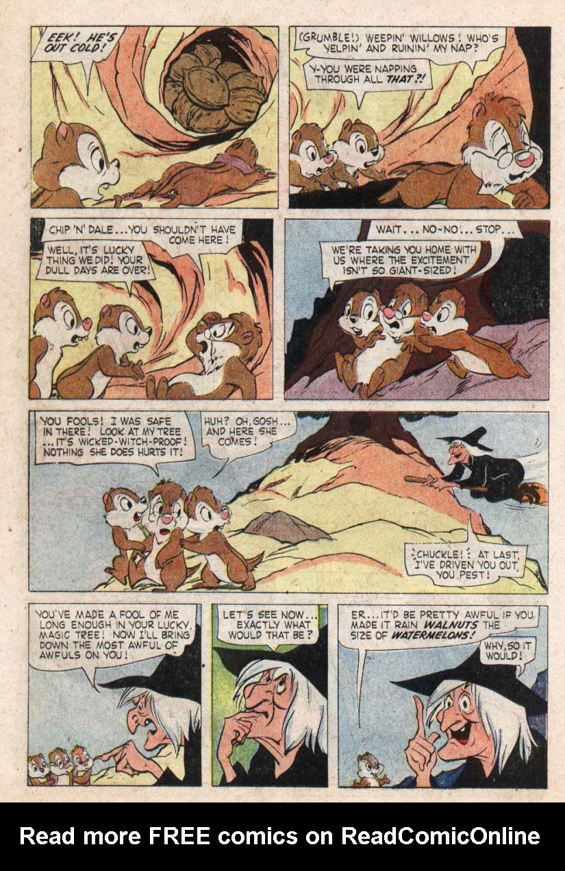 Read online Walt Disney's Comics and Stories comic -  Issue #246 - 21