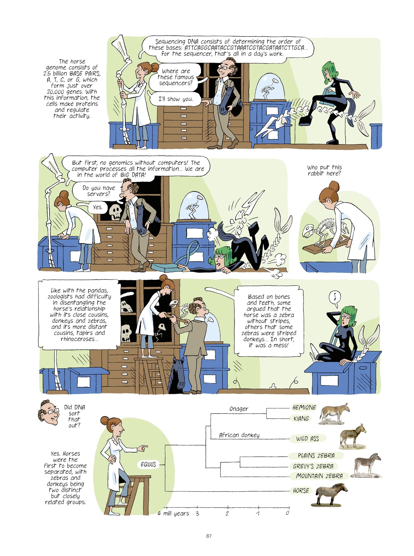 Read online Evolution, Darwin, God, and the Horse-People comic -  Issue # TPB - 86