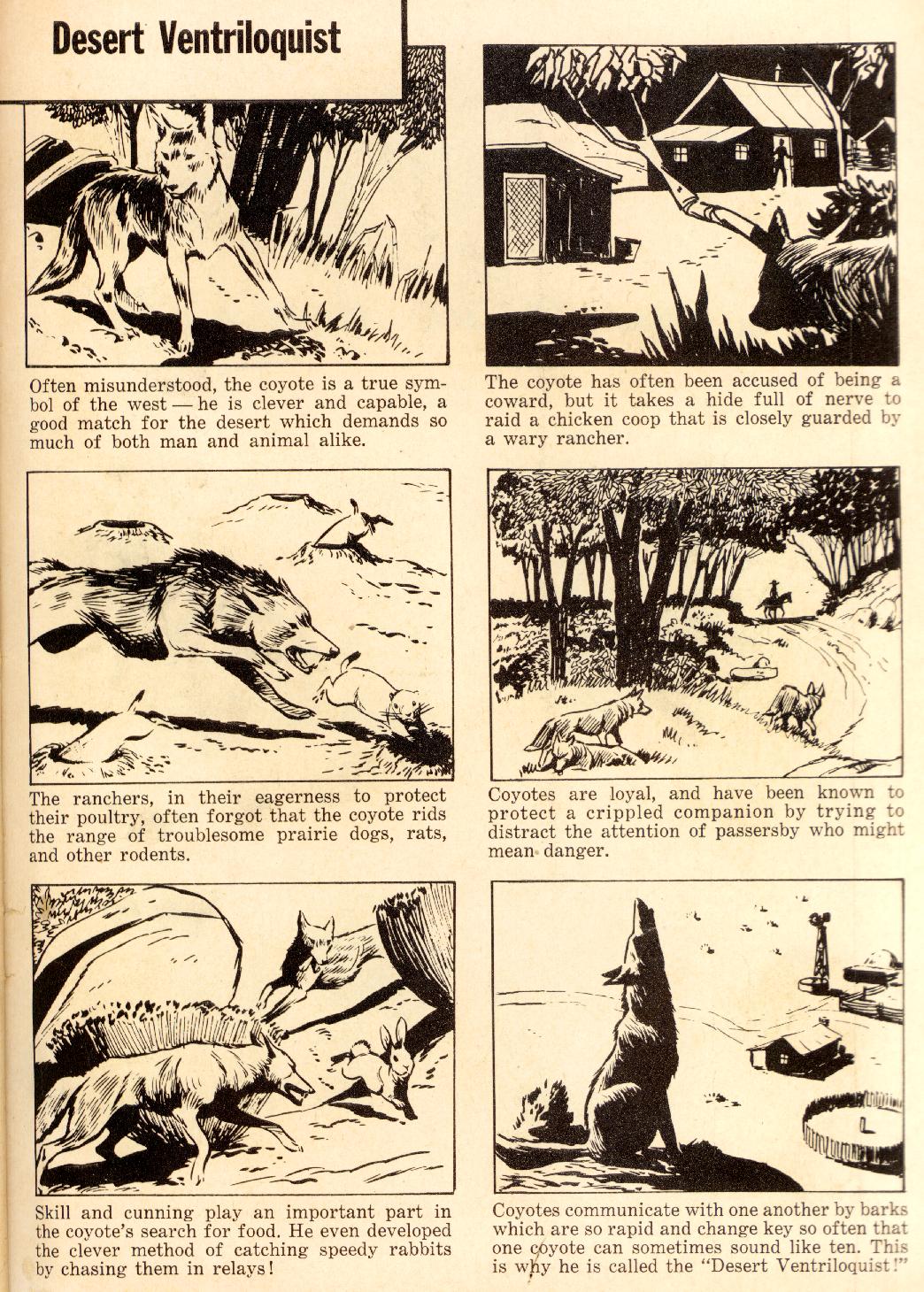 Read online Four Color Comics comic -  Issue #879 - 35