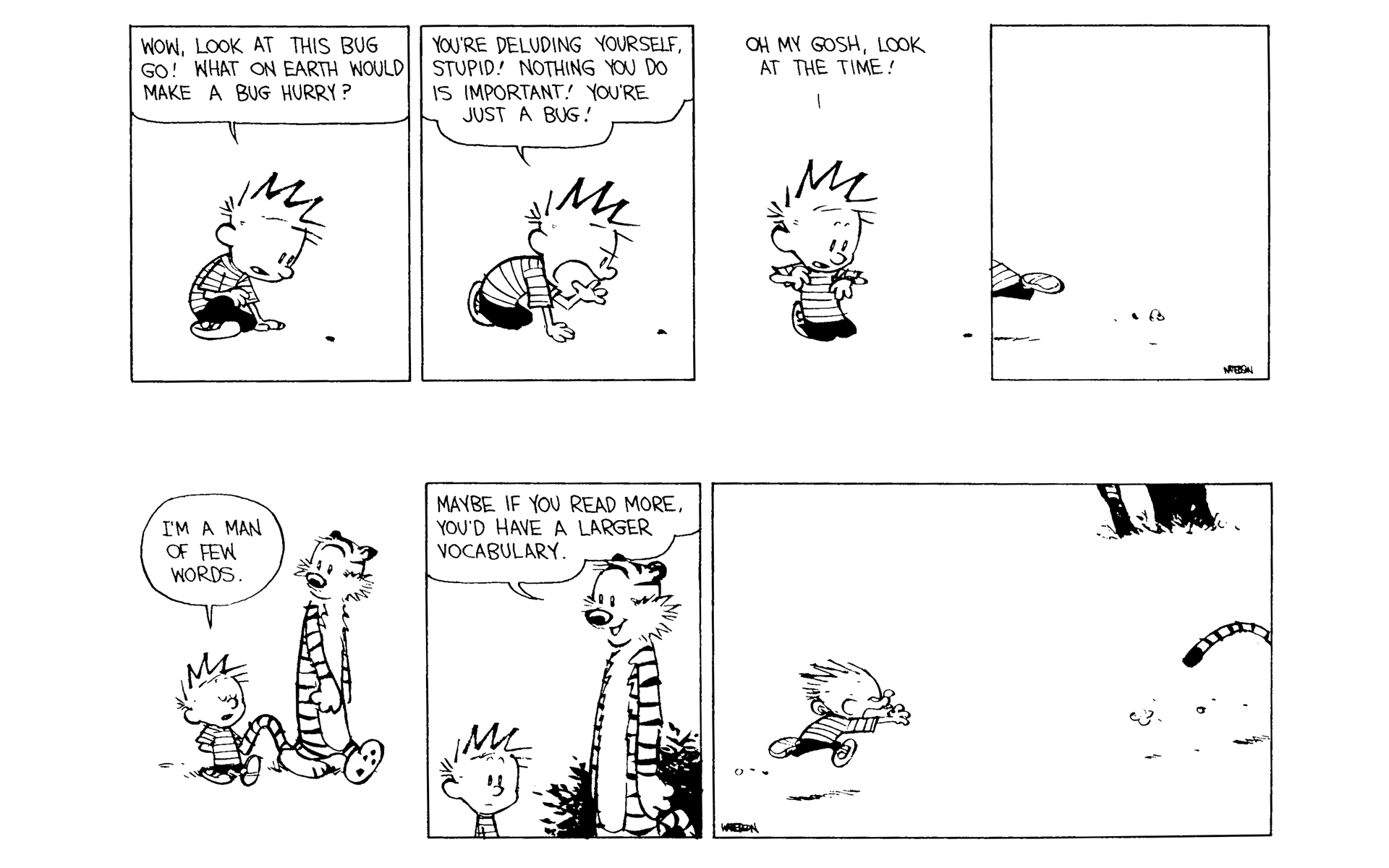 Read online Calvin and Hobbes comic -  Issue #11 - 46